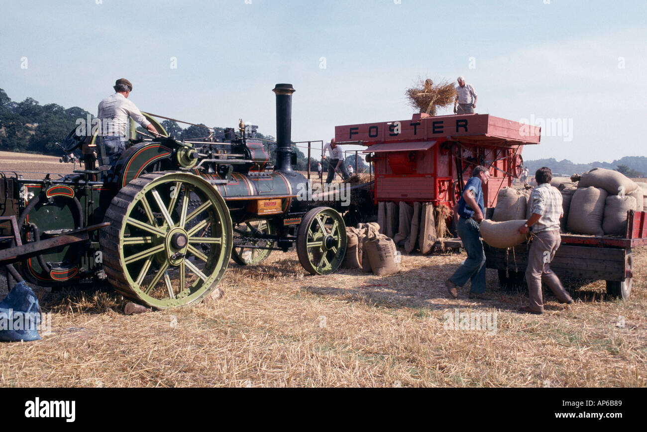DRESCHEN MIT VINTAGE DAMPFMASCHINE UND DRESCHMASCHINE HEREFORDSHIRE ENGLAND UK Stockfoto