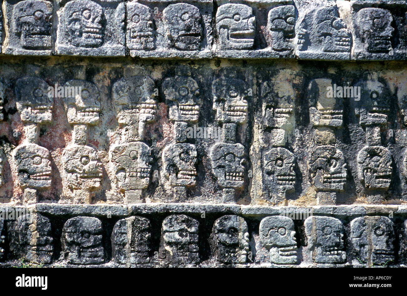 Anthropologisches Museum Reliefs Mexiko Stockfoto
