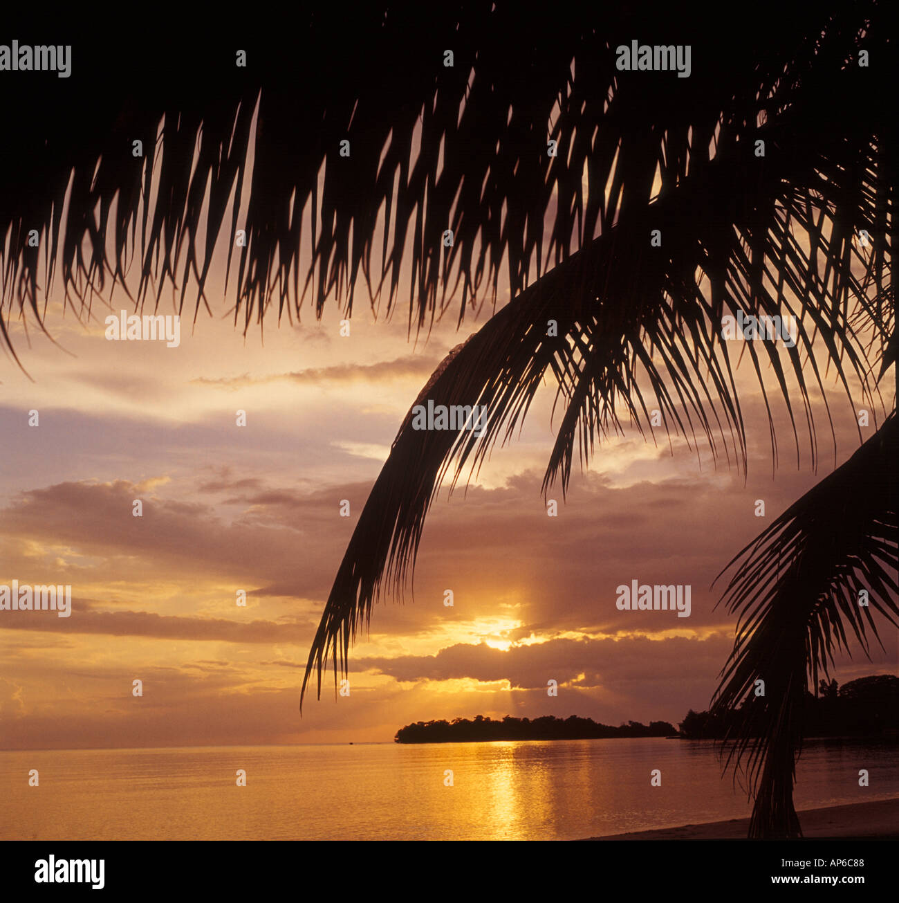 Sonnenuntergang und Palm-Baum auf Karibik-Insel Stockfoto