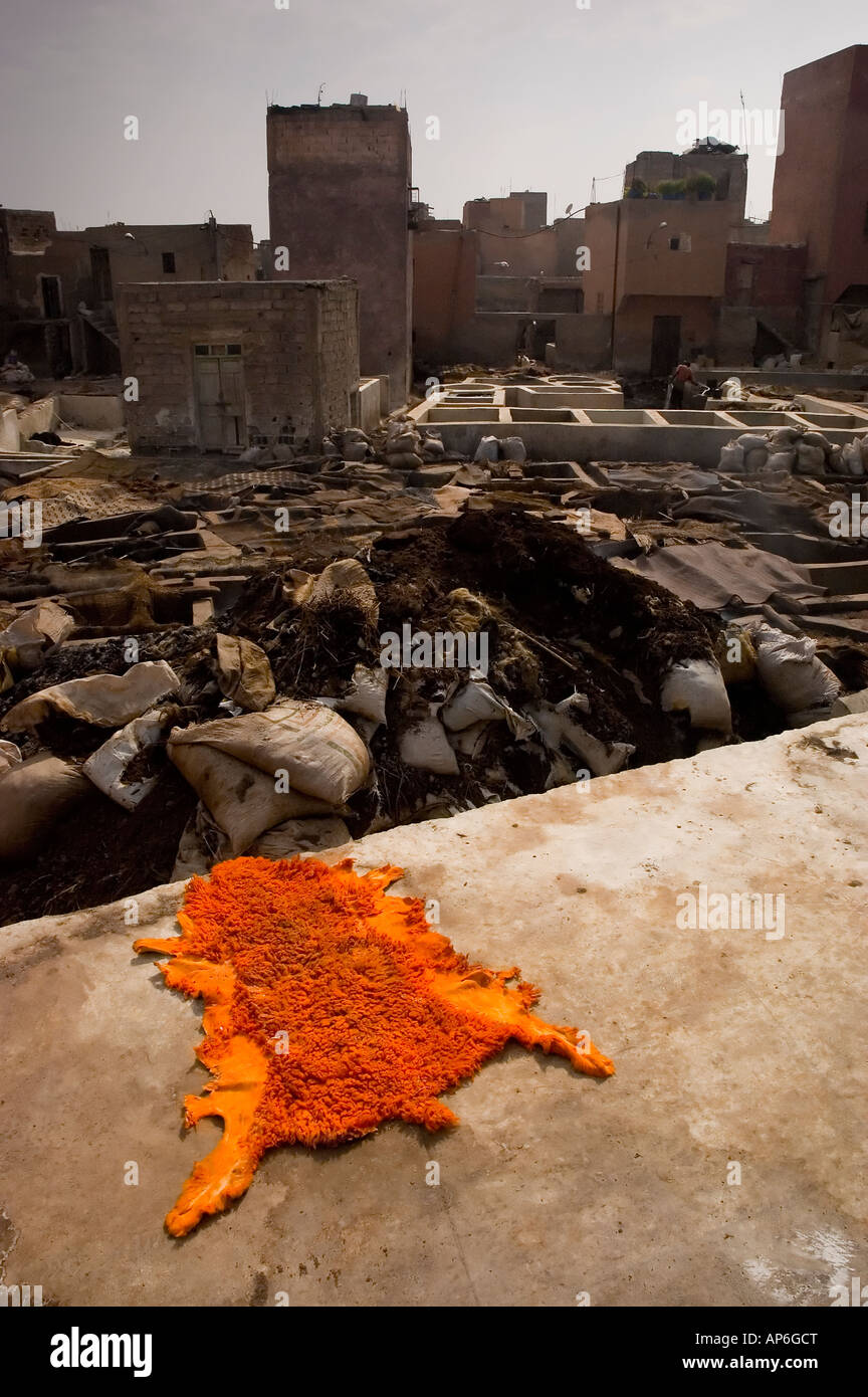 Eine bemalte Orangenhaut von Schafen in grau und schmutzig Gerberei von Marrakesch Marokko Stockfoto