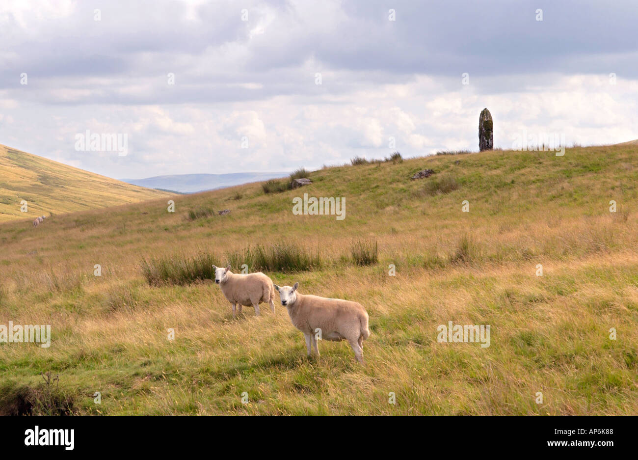 Maen Llia eine massive Diamant geformt Menhir auf isolierte offene Heidelandschaft zwischen Ystradfellte und Heol Senni Powys Wales UK Stockfoto