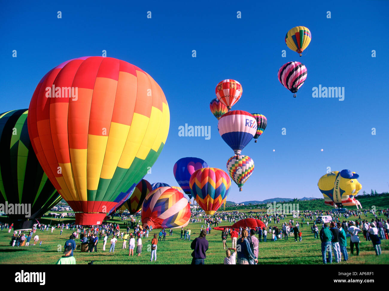 Heißluft-Ballon-Festival mit klaren, blauen Himmel, Colorado, USA Stockfoto