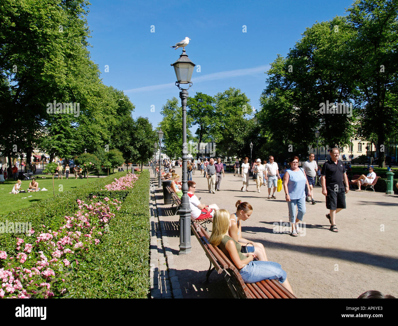 Helsinki, Esplanade Stockfoto