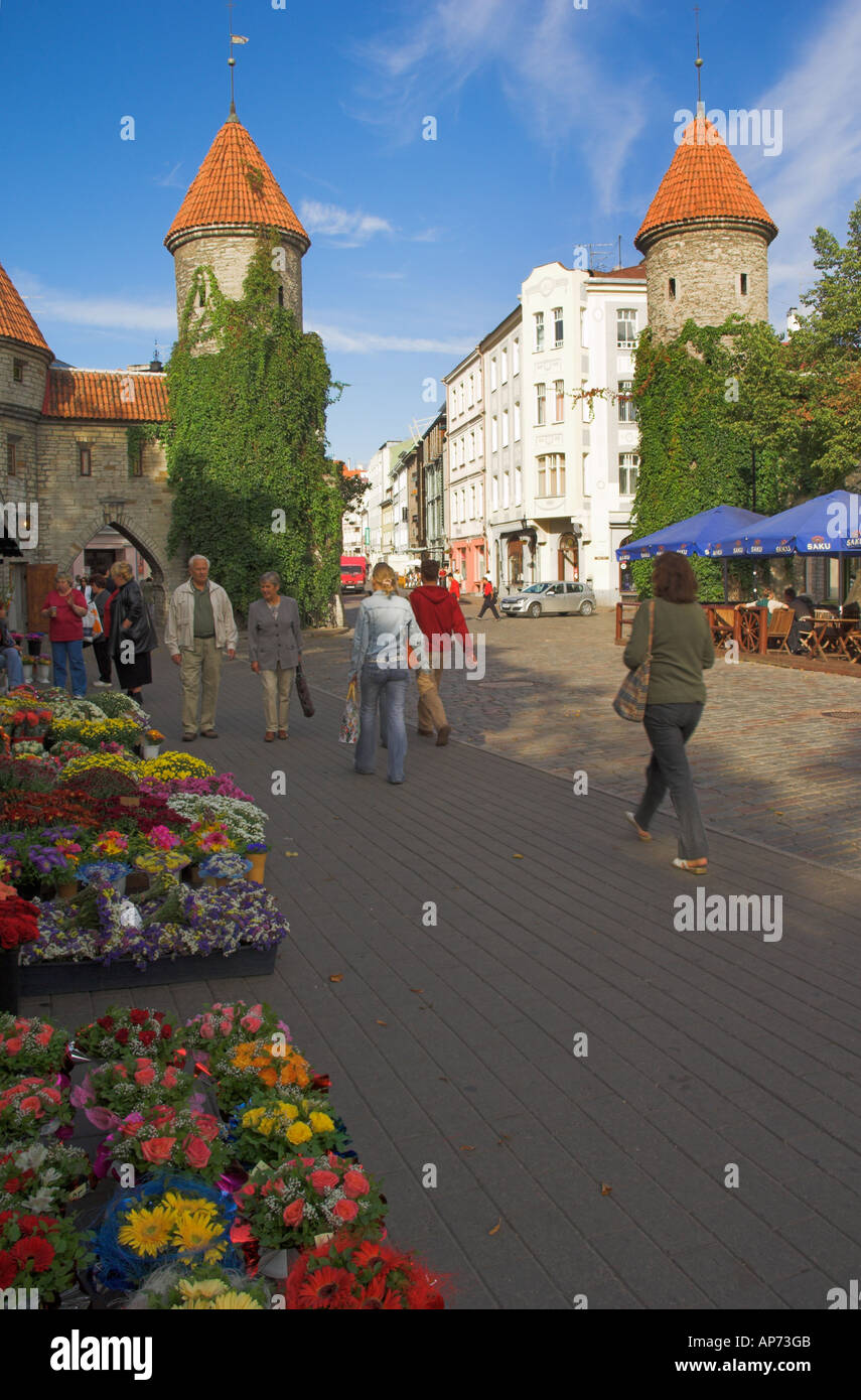 Tallinn old Town Wehrturm und Mauer Viru Stadttor Estland baltischen Stockfoto