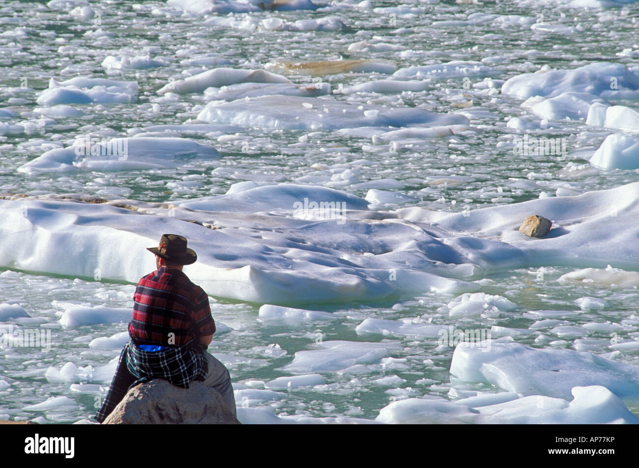 Mann, sitzend auf Felsen Blick auf Eisberge Mount Edith Cavell Canadian Rockies Jasper Nationalpark Alberta Kanada Stockfoto