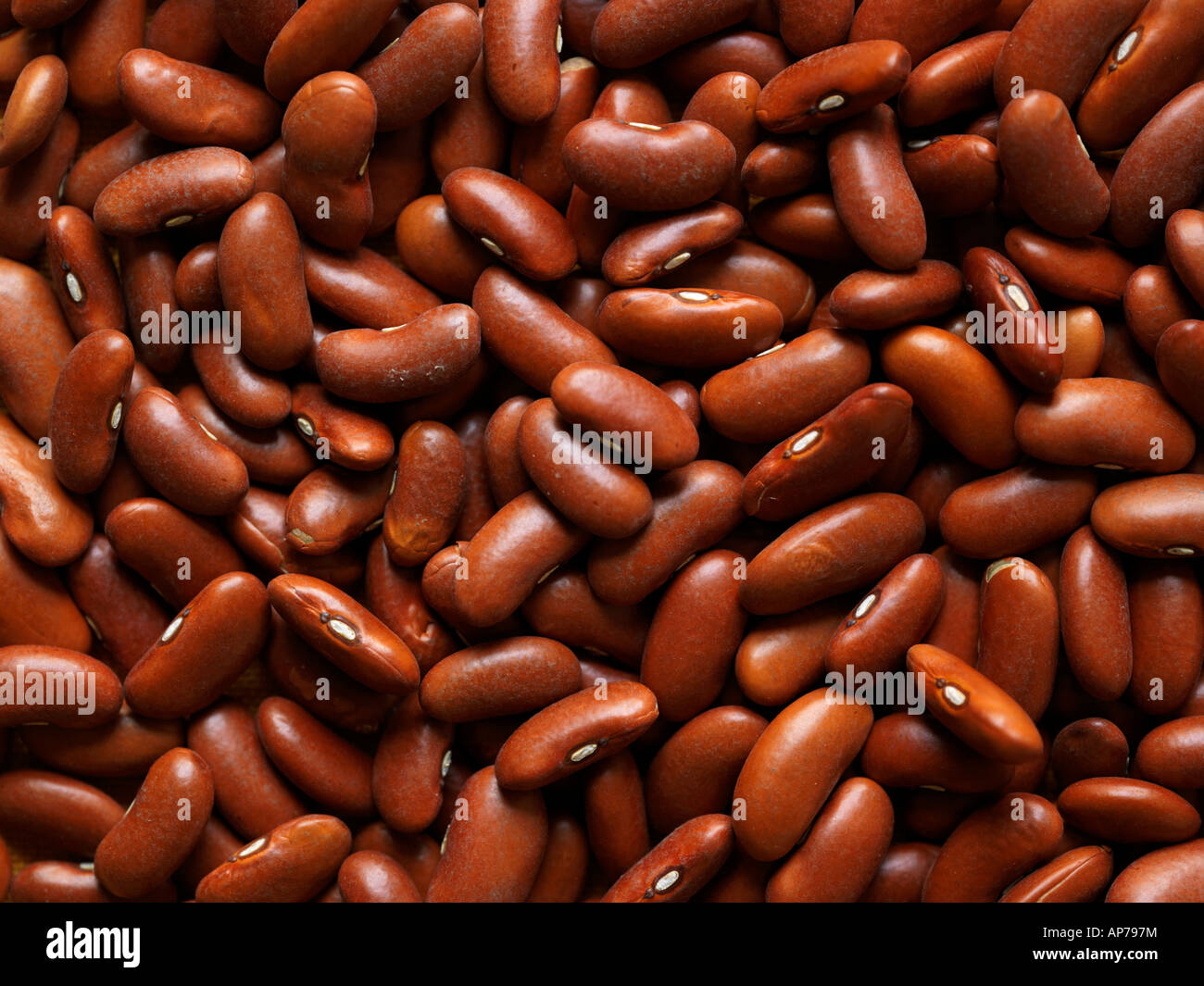 Rote Kidneybohnen Closeup Stockfoto