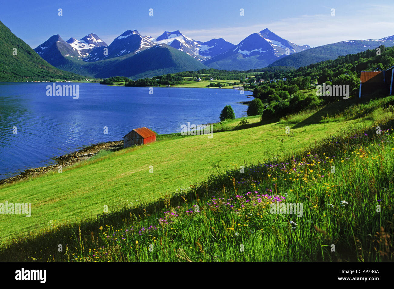 Fjord, Ackerland und Bergen am Straumgjerde in Møre Og Romsdal Fläche von Norwegen Stockfoto