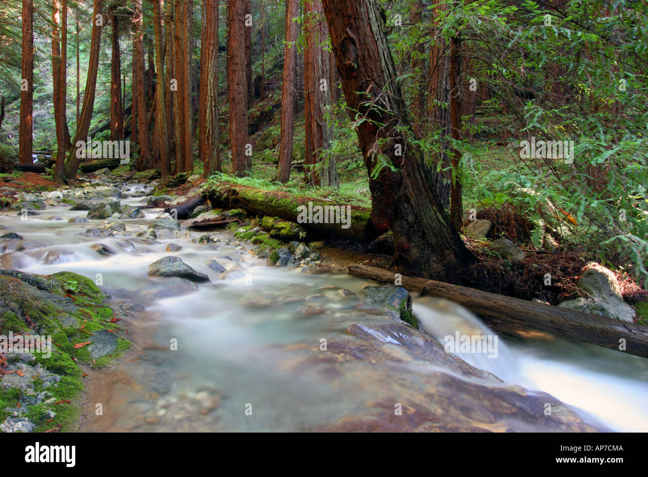 Kalkofen Creek, Big Sur, Kalifornien Stockfoto