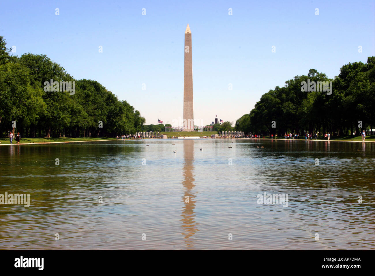 Washington Monument und reflektierenden pool Stockfoto