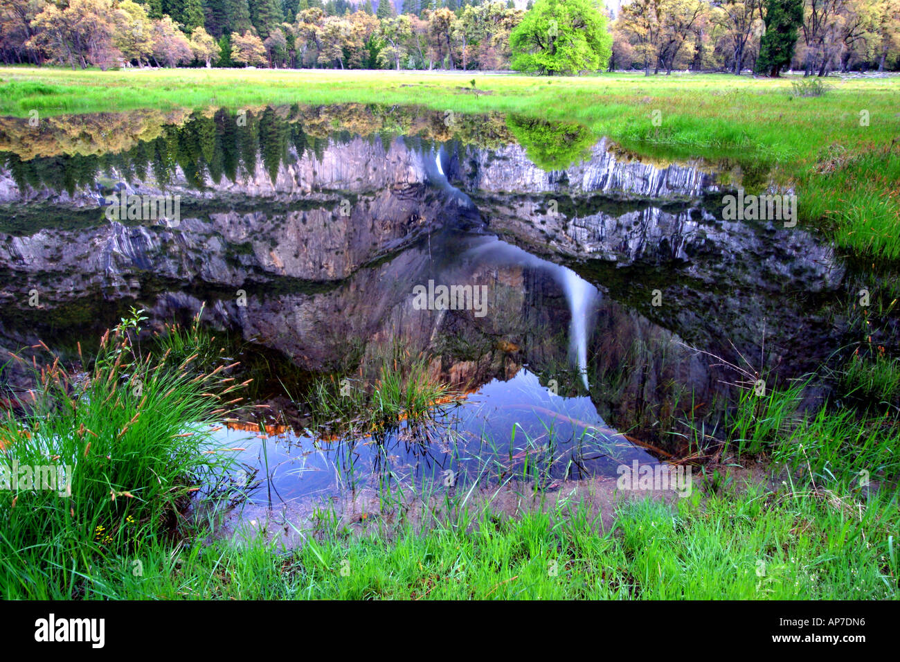 Yosemite fällt Reflexion, Yosemite-Nationalpark Stockfoto
