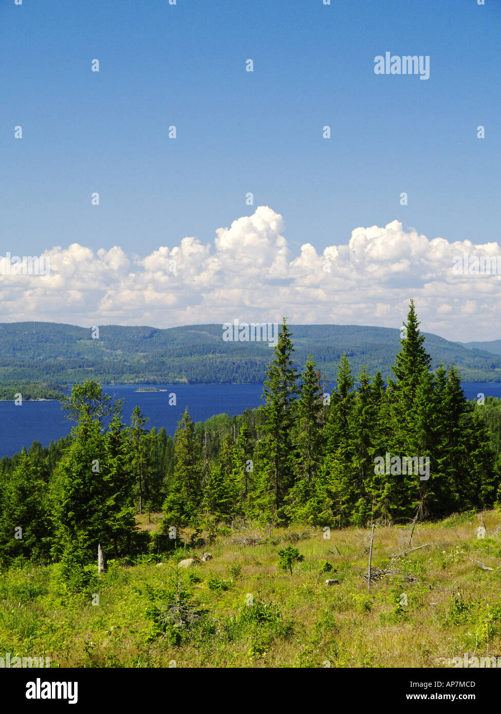 Höga Kusten, Landschaft Stockfoto
