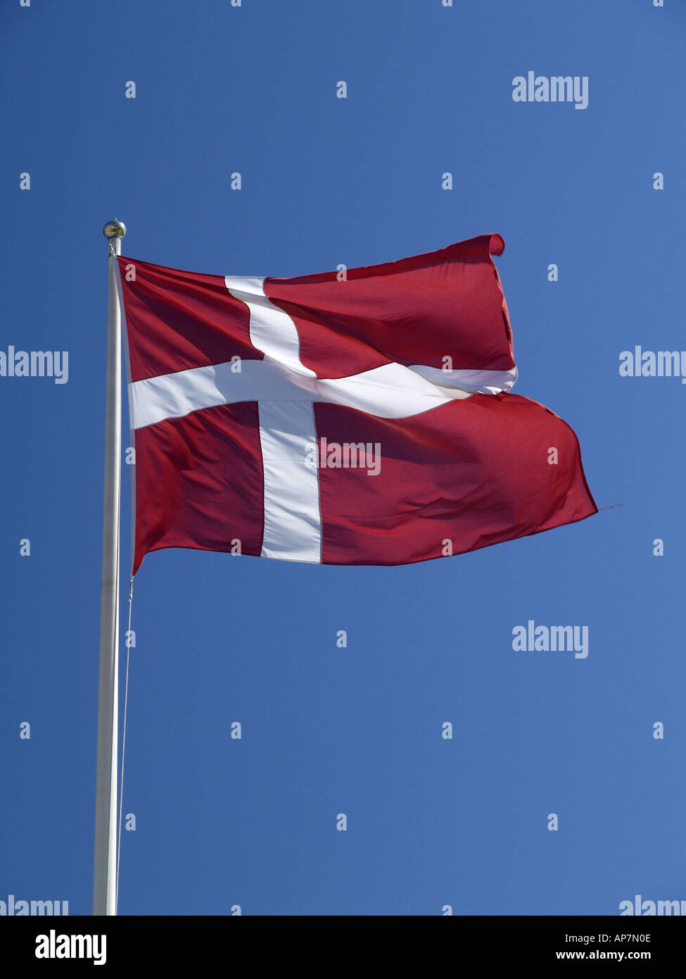 Dänische Flagge Dannebrog Stockfoto