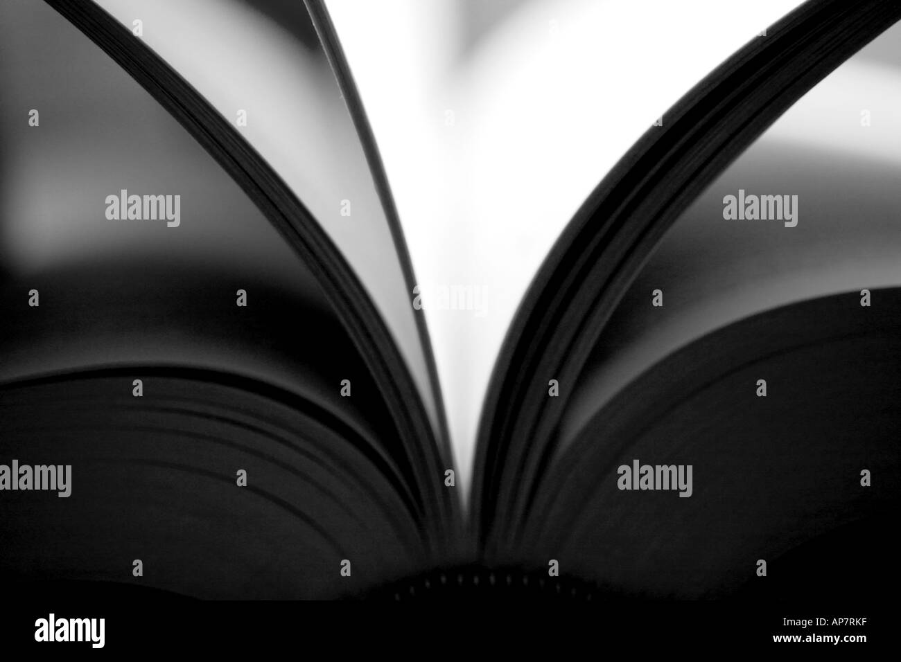 Buch öffnen Stockfoto