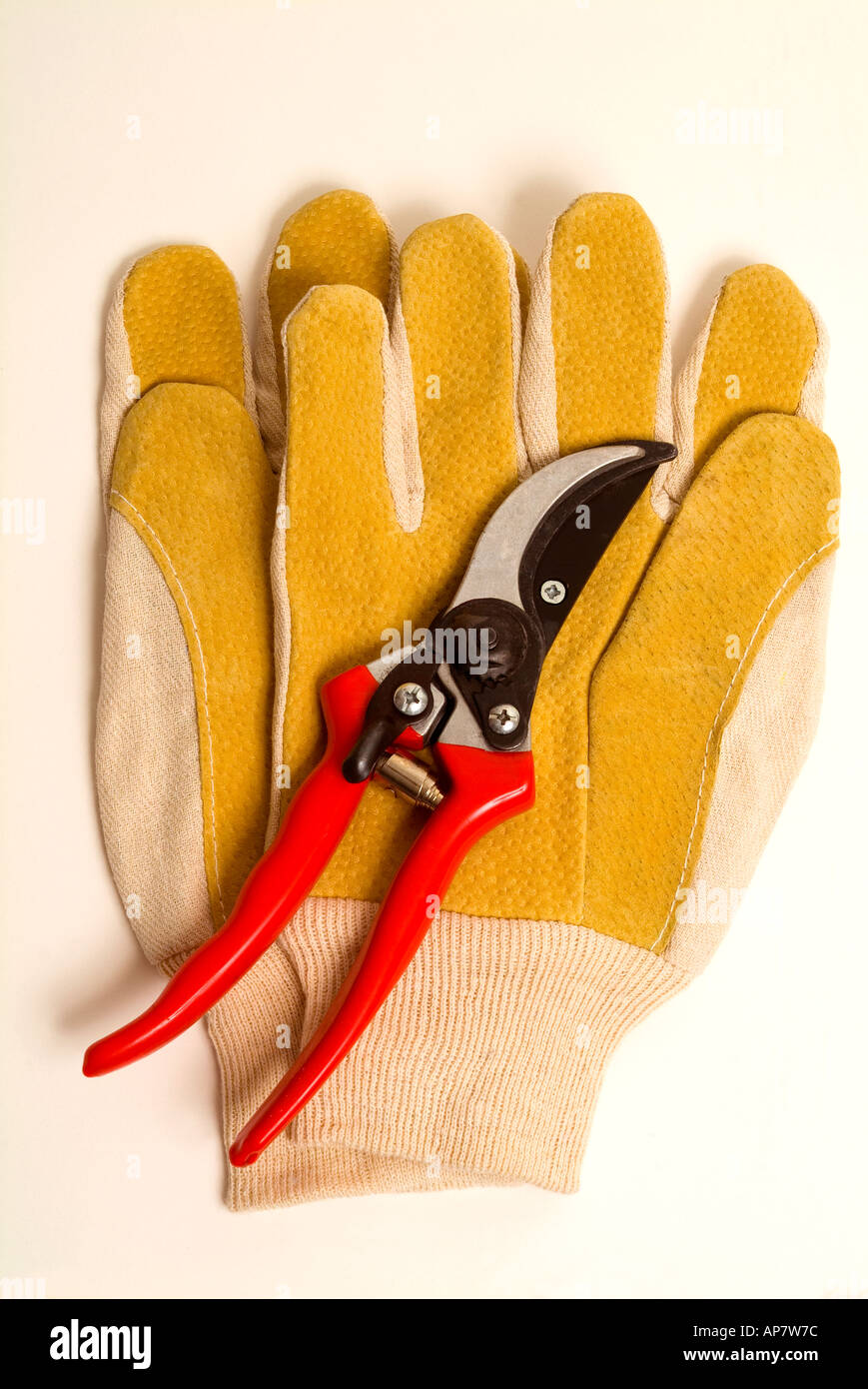 Gartenschere beschneiden und Leder Traumanlagen Garten Handschuhe Stockfoto