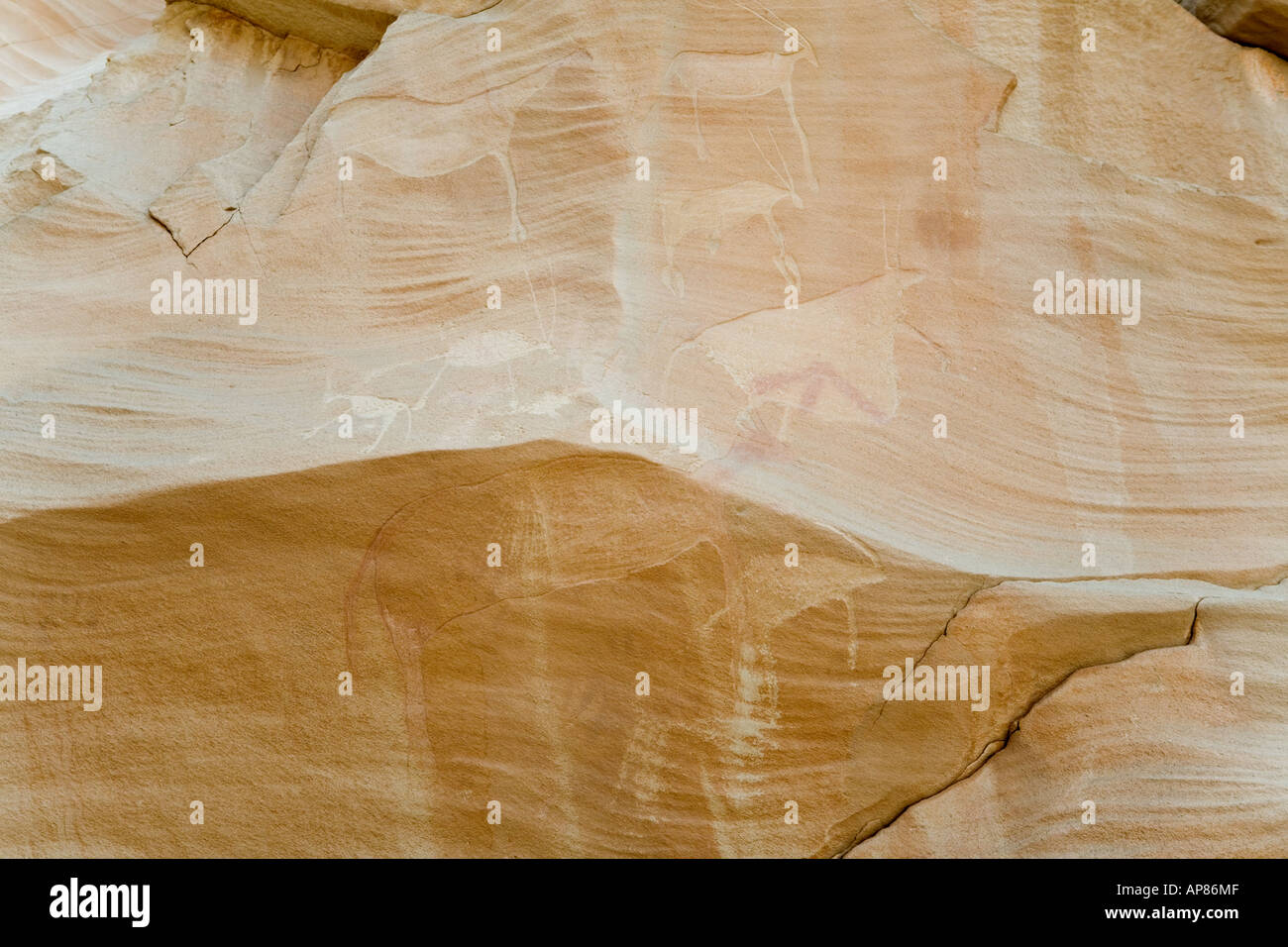 Tiere in Felskunst, Mestekawi Höhle, Gilf Kebir, westliche Wüste Ägyptens geätzt. Stockfoto