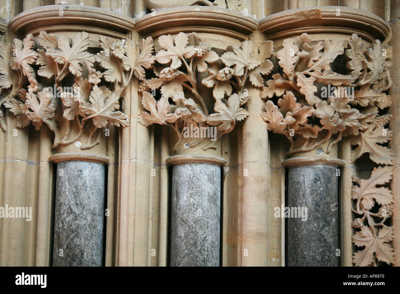 Kunstvoll geschnitzten floralen Stein Kapitelle im Kapitelsaal in Southwell Minster Nottinghamshire Stockfoto