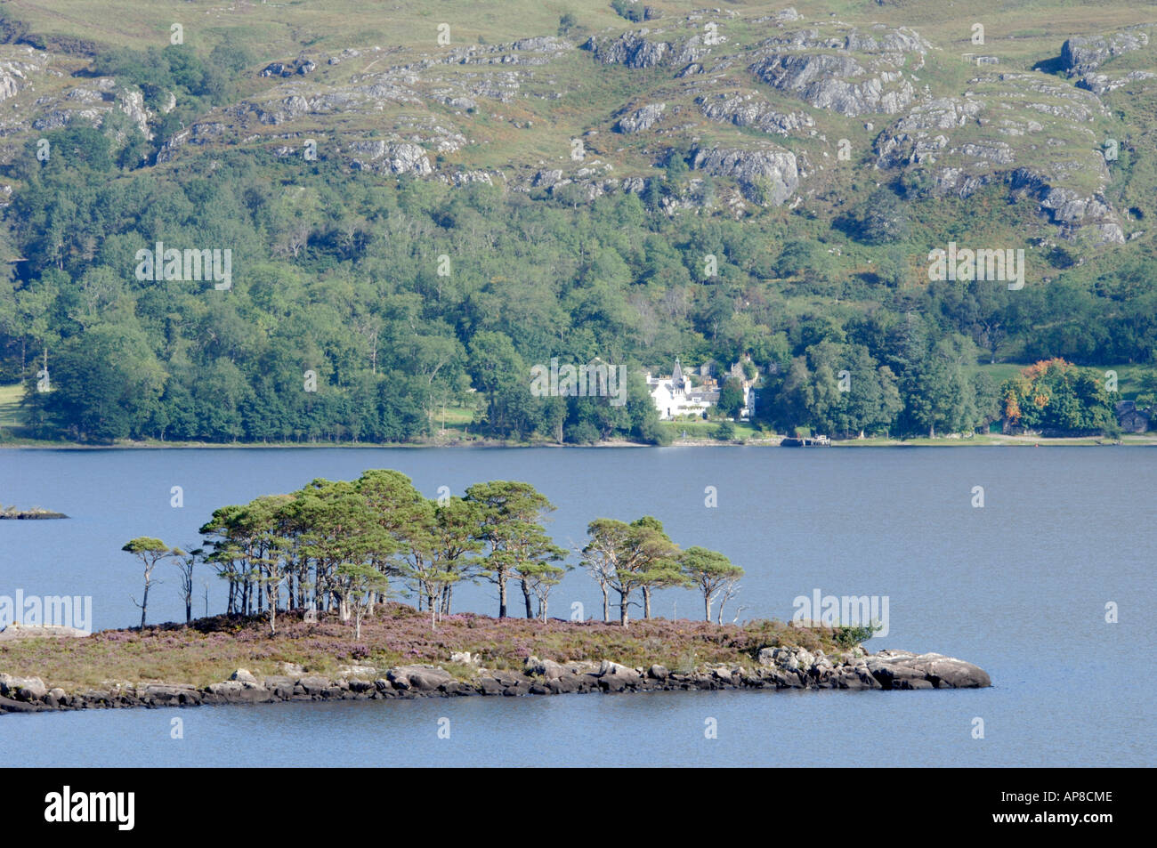 Loch Maree Pine Wood Island Letterewe, Kinlochewe. Wester Ross. Schottland.  XPL 3491-340 Stockfoto