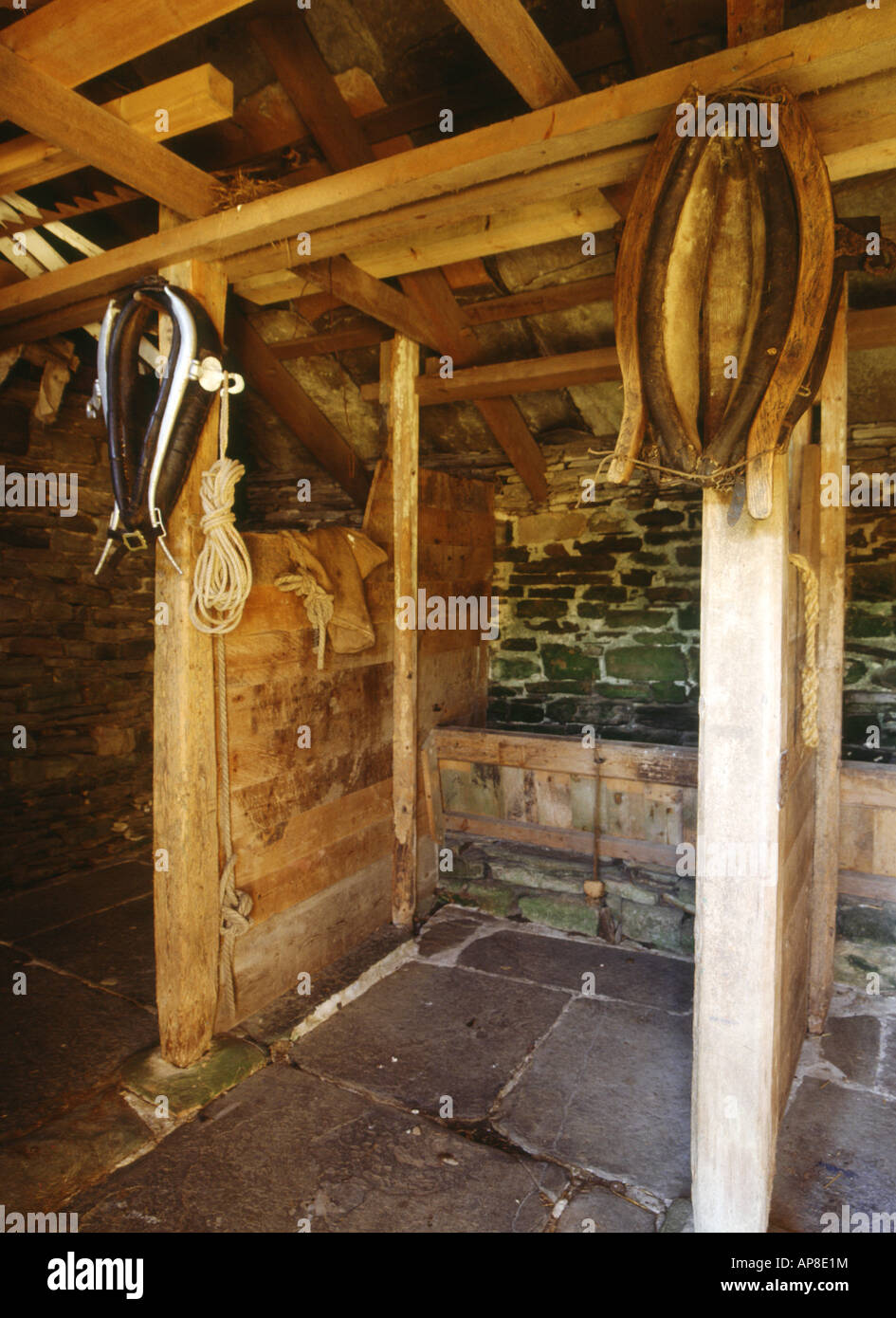 dh Bauernhof Museum CORRIGALL ORKNEY ländlichen Bauernhof stabil Pferd Halsbänder Stockfoto