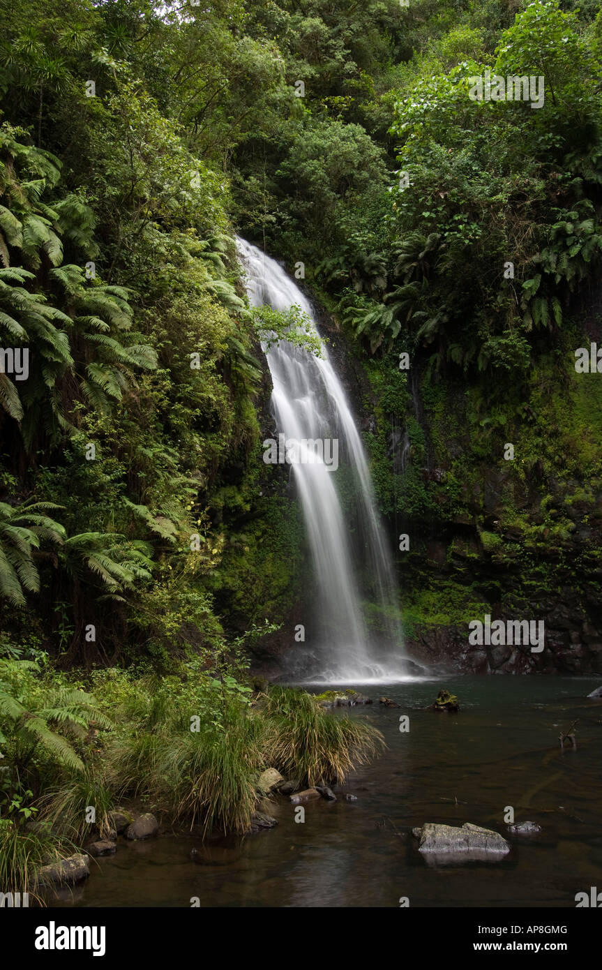 Kaskade d'Antomboka, Montagne d'Ambre National Park, Madagaskar Stockfoto