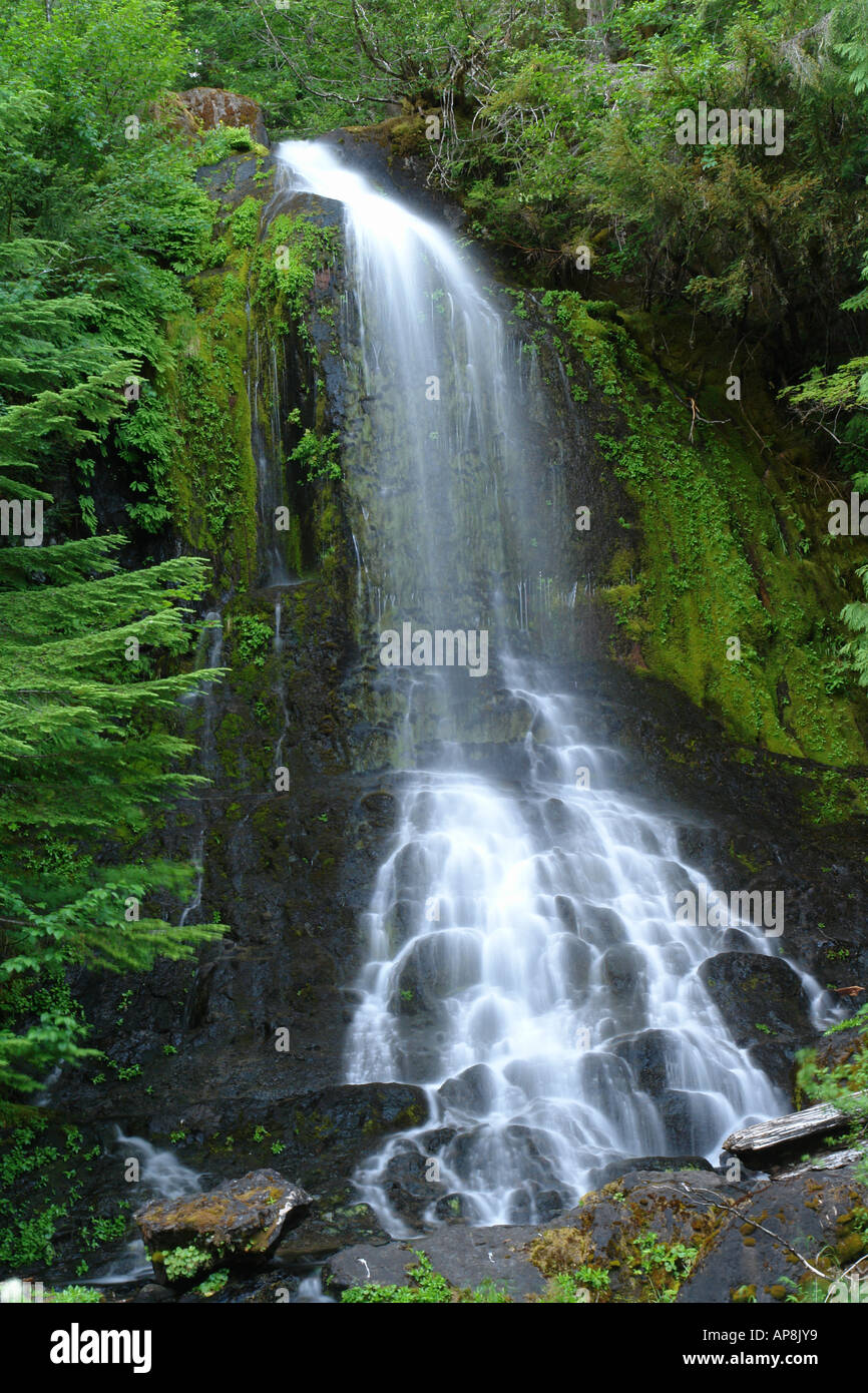 AJD52813, Mt. Rainier Nationalpark, WA, Washington, Wasserfälle, Stevens Canyon Stockfoto