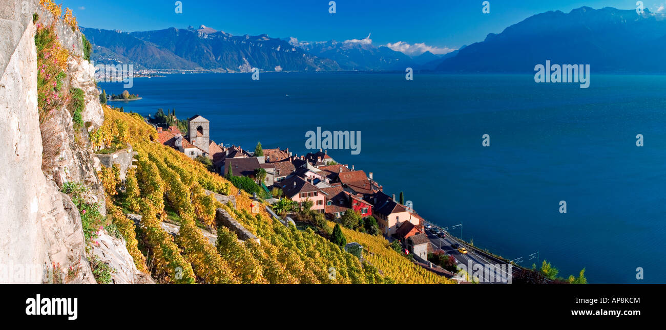 Das Dorf St. Saphorin im Lavaux-Gebiet, Schweiz Stockfoto