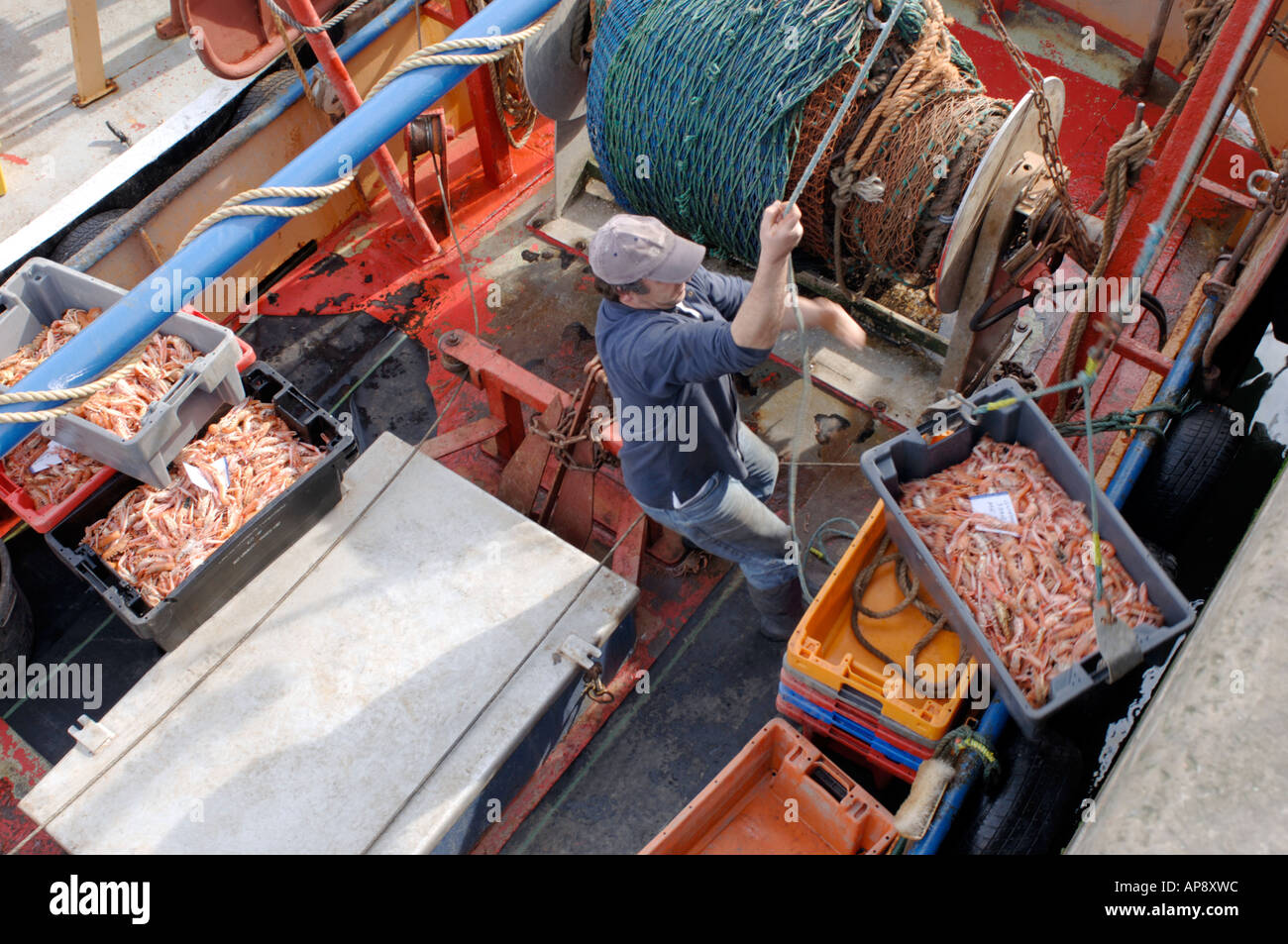 Fischerboote im Hafen von Burghead Moray, Grampian Garnele. Schottland.  XPL 3409-334 Stockfoto