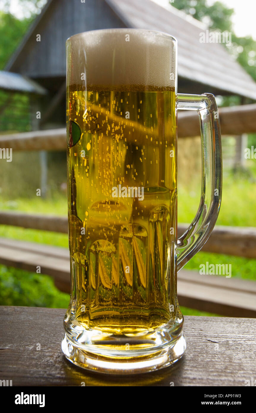 Glas Bier bei Studor in der Nähe von Bohinj-Slowenien Stockfoto