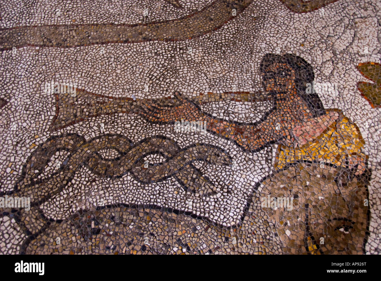 Otranto mosaik Fotos und Bildmaterial in hoher Auflösung Alamy