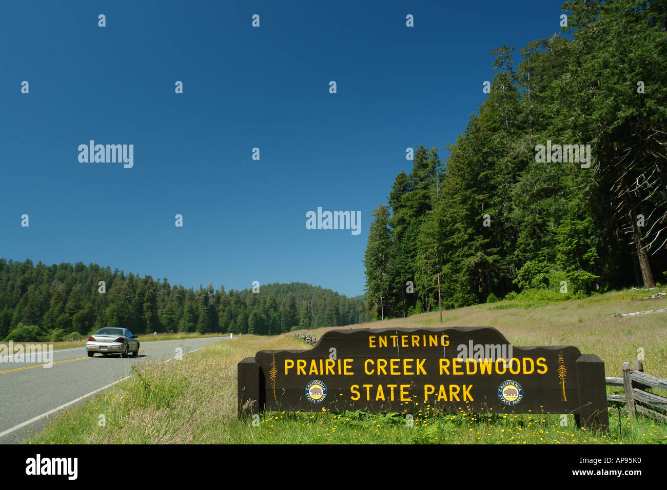 AJD51314, Prairie Creek Redwoods State Park, CA, Kalifornien, Redwood National und State Parks, Eingangsschild Stockfoto