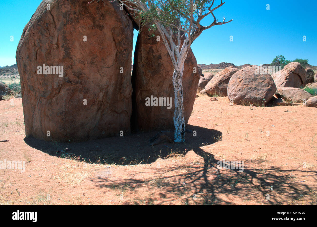 Baum und jeder Stein Namibia 2000 Stockfoto