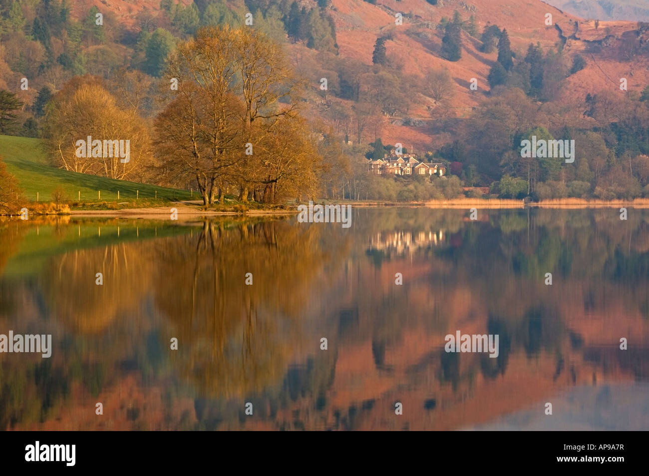 Reflexionen in Grasmere, Nationalpark Lake District, Cumbria, England, UK Stockfoto