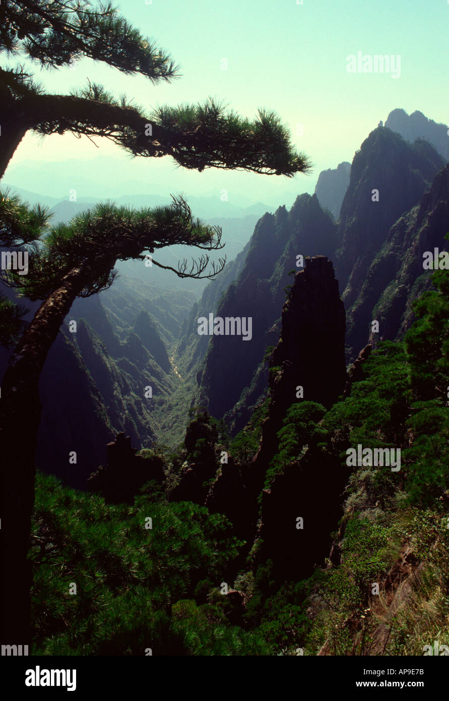 Blick vom Huangshan, auch genannt den gelben Bergen, Provinz Anhui, China Stockfoto