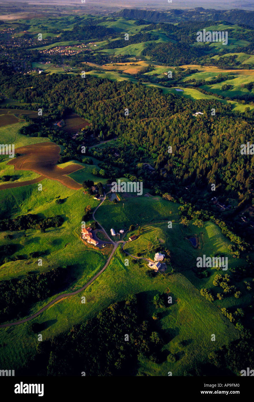 Ballonfahrt, zwischen den Städten St Helena und Napa, Napa Valley, Napa County, Kalifornien, USA, Nordamerika Stockfoto