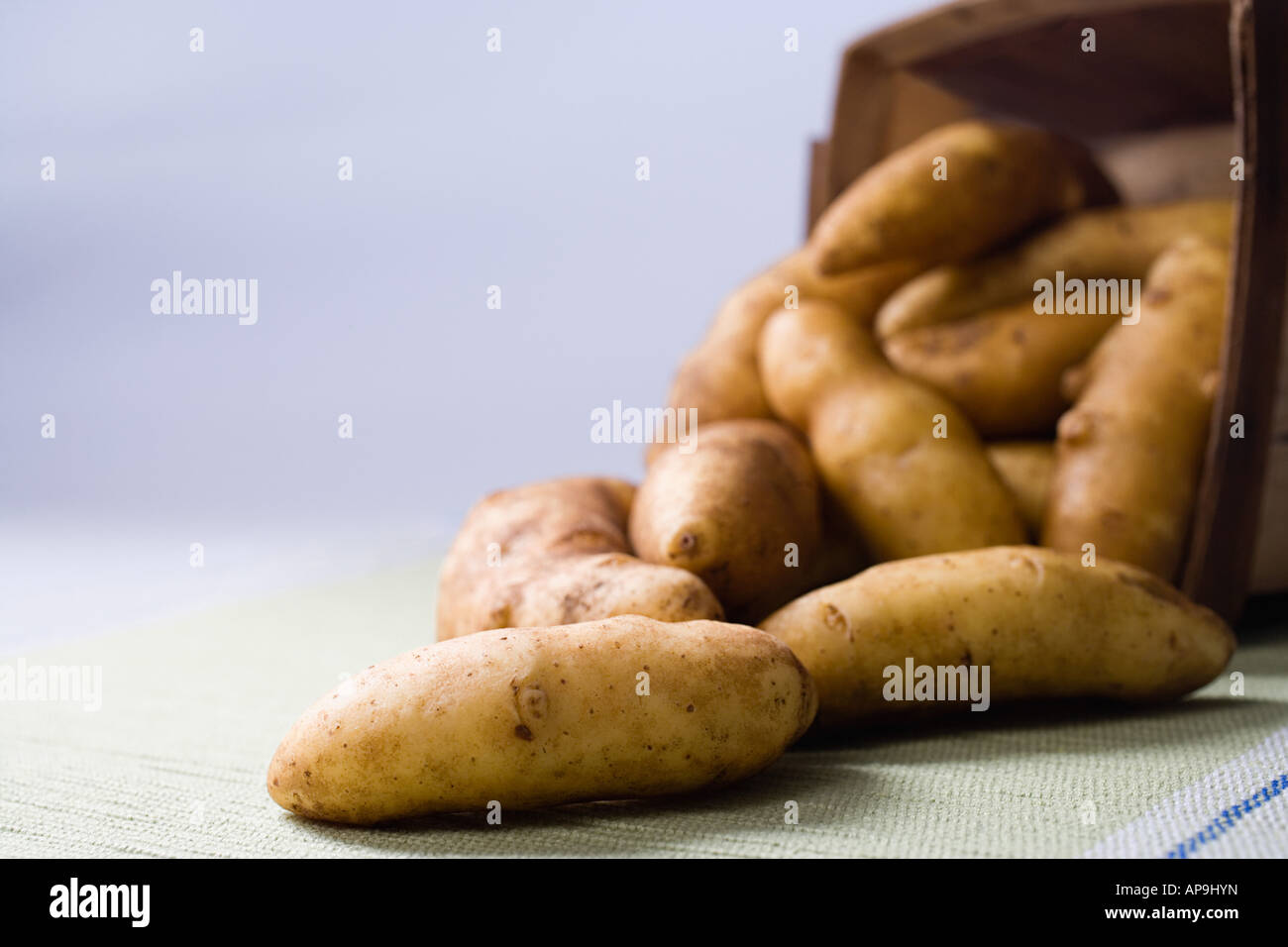 Fingerling-Kartoffeln Stockfoto