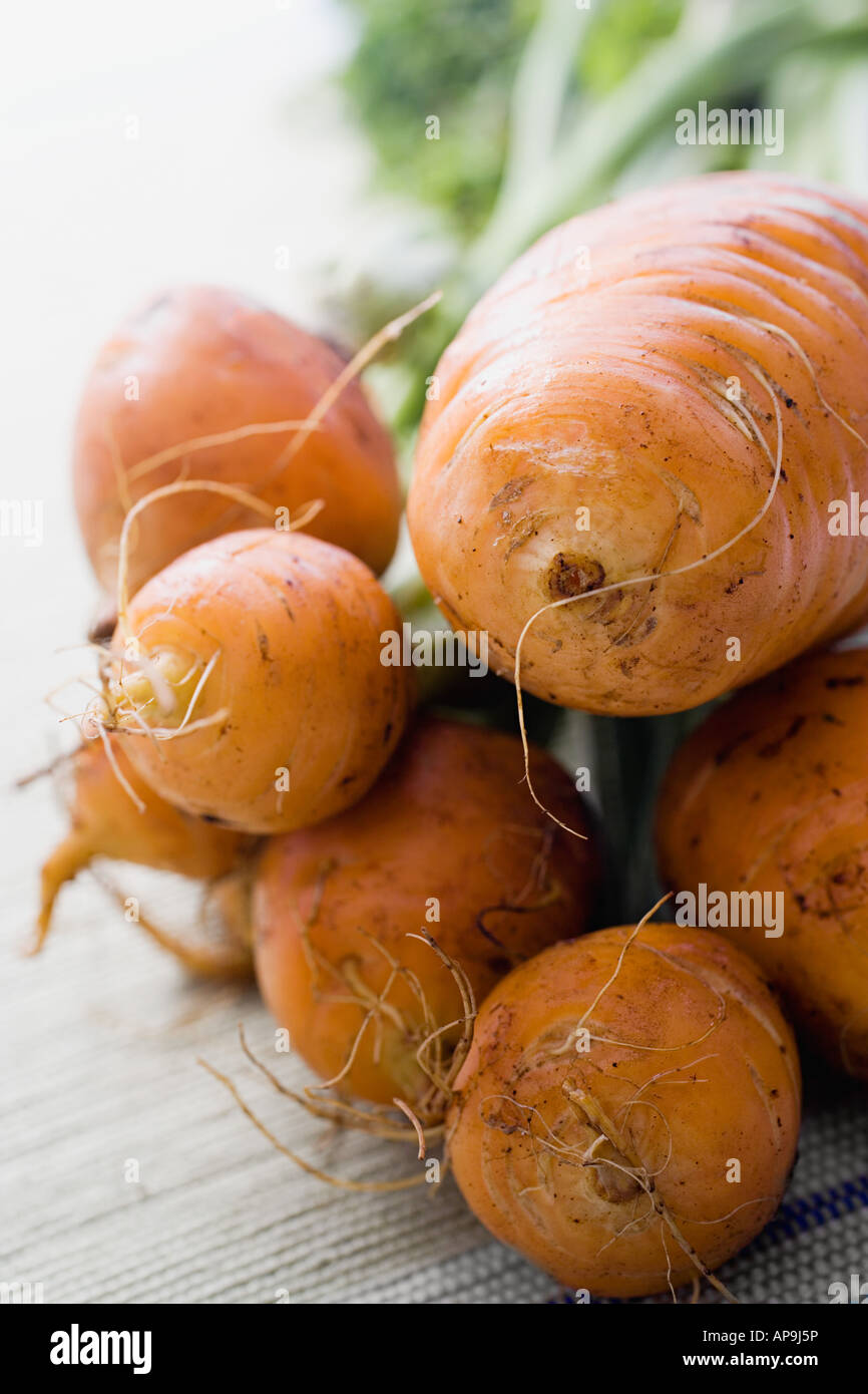 Globus rote Beete Stockfoto