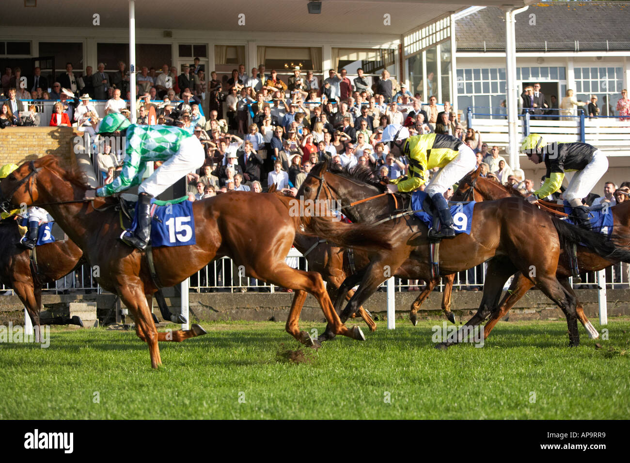 Rennpferde, die Überquerung der Gewinnlinie Royal Windsor Racecourse Stockfoto