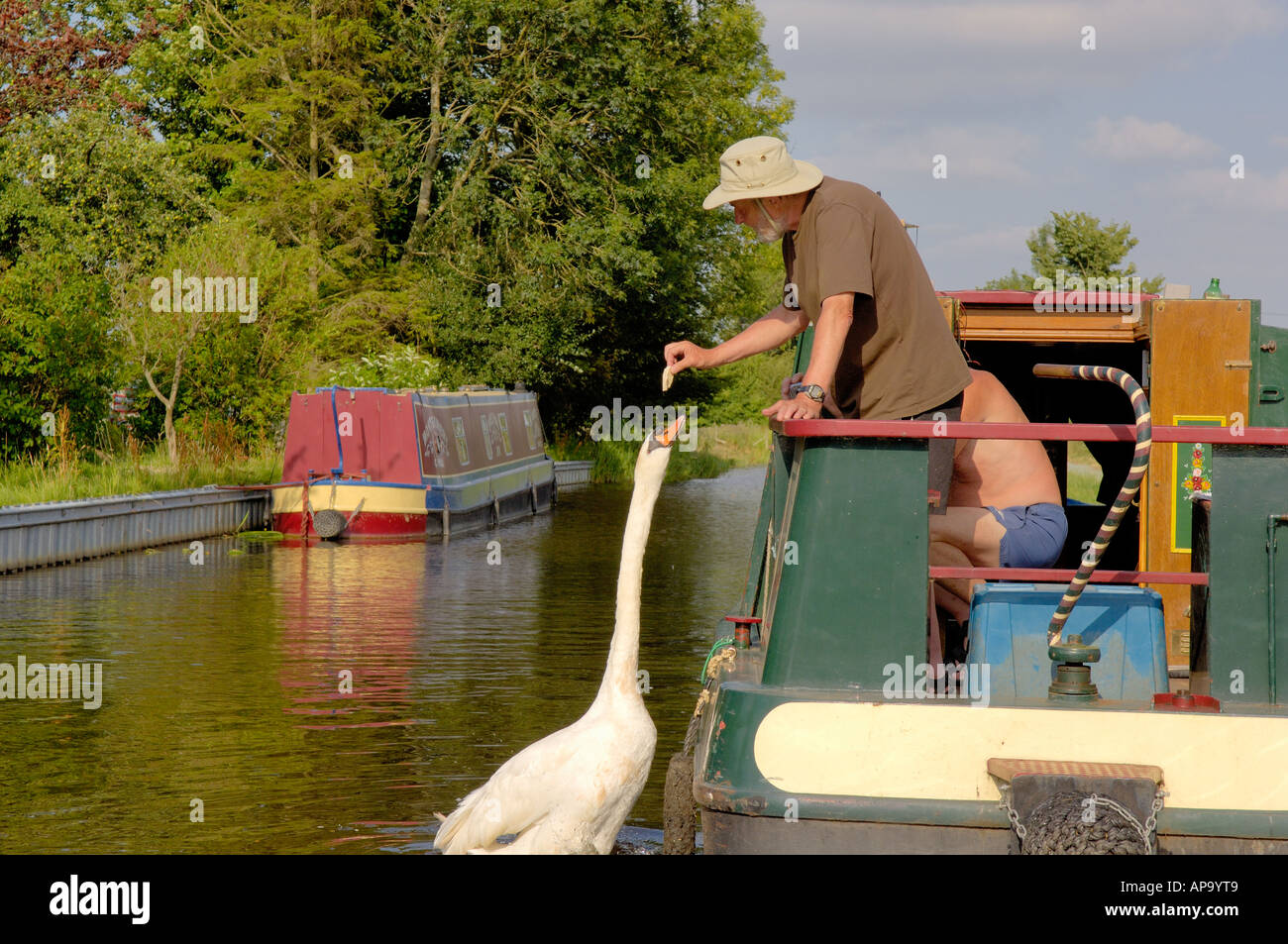 Mann Fütterung Schwan aus schmalen Boot vertäut am Navigation Inn Maesbury Montgomery Kanal Mitte Wales Stockfoto