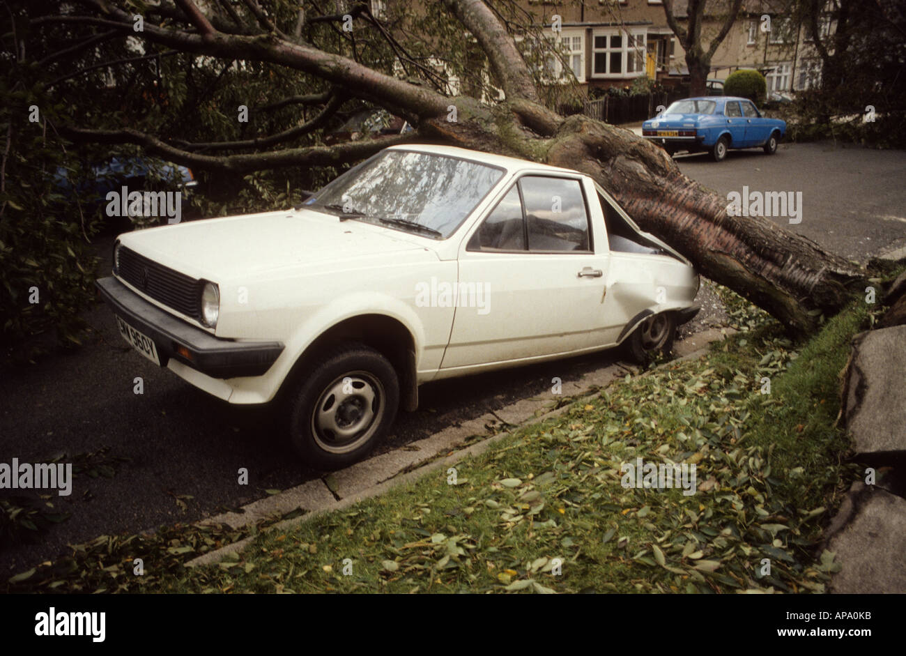 Auto zerquetscht unter Baum nach dem Hurrikan 1987 Stockfoto