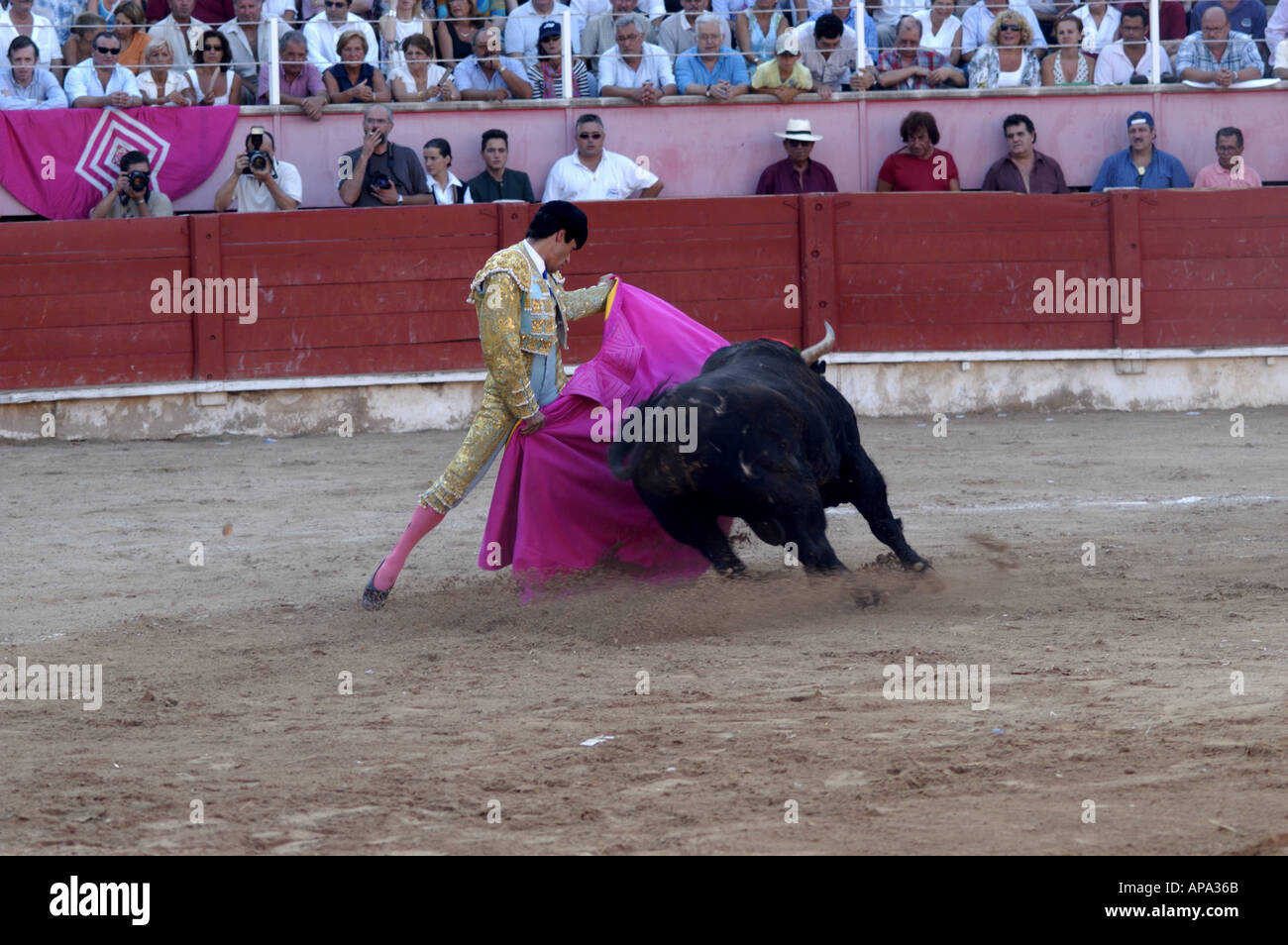 Einem spanischen Stierkampf in Mallorca, Spanien. Stockfoto