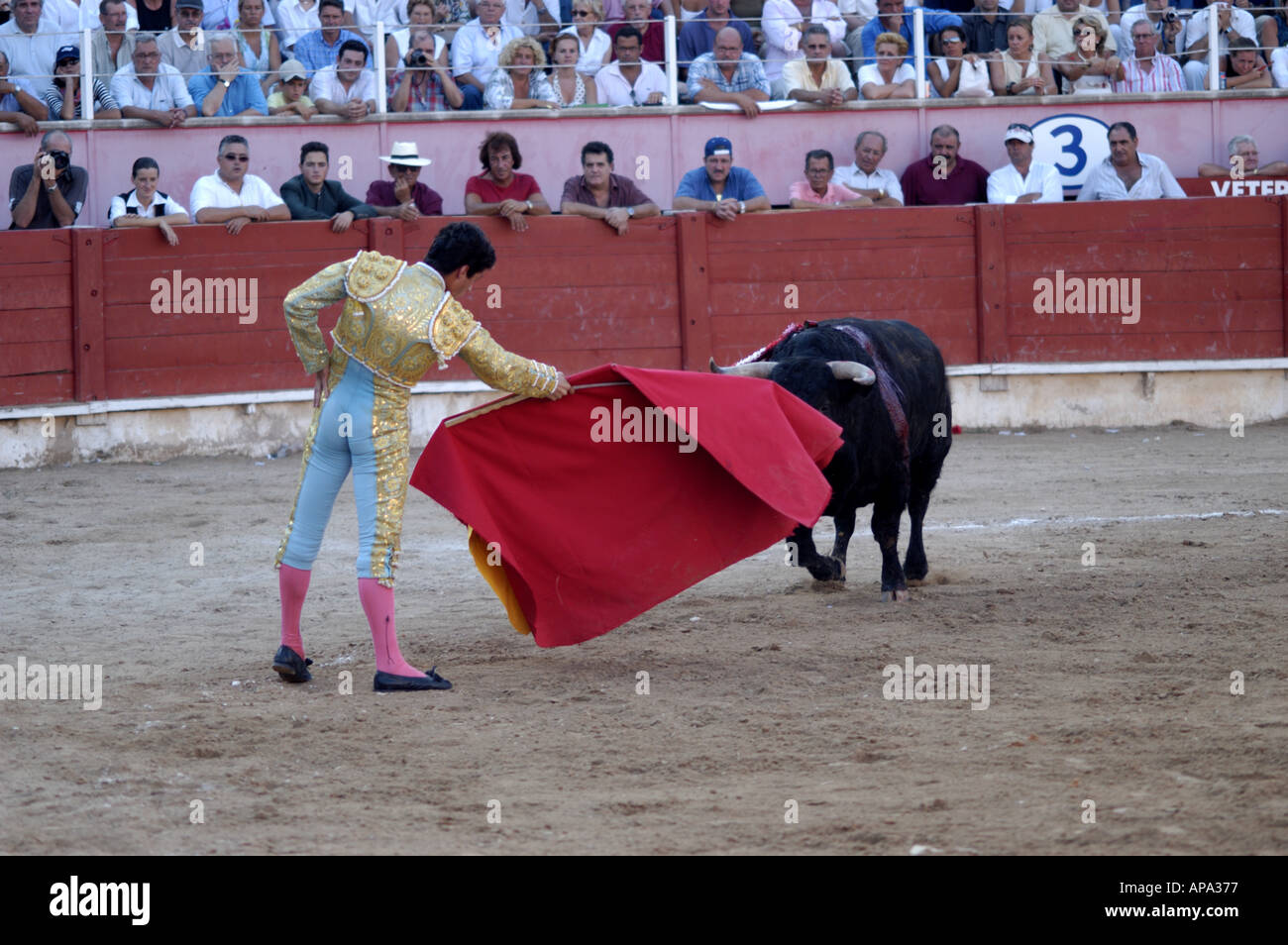 Einem spanischen Stierkampf in Mallorca, Spanien. Stockfoto