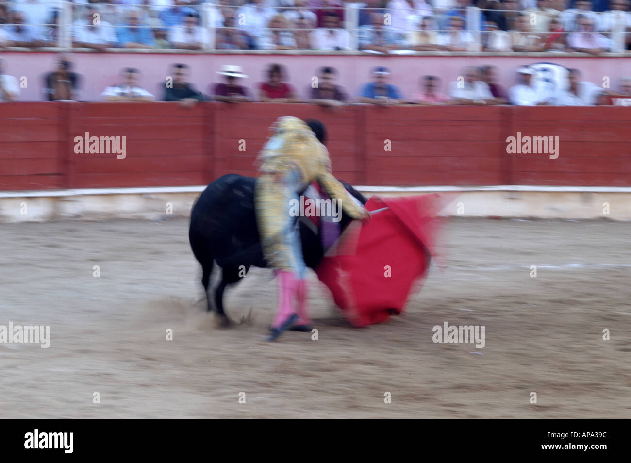 Einem spanischen Stierkampf in Mallorca, Spanien. Stockfoto