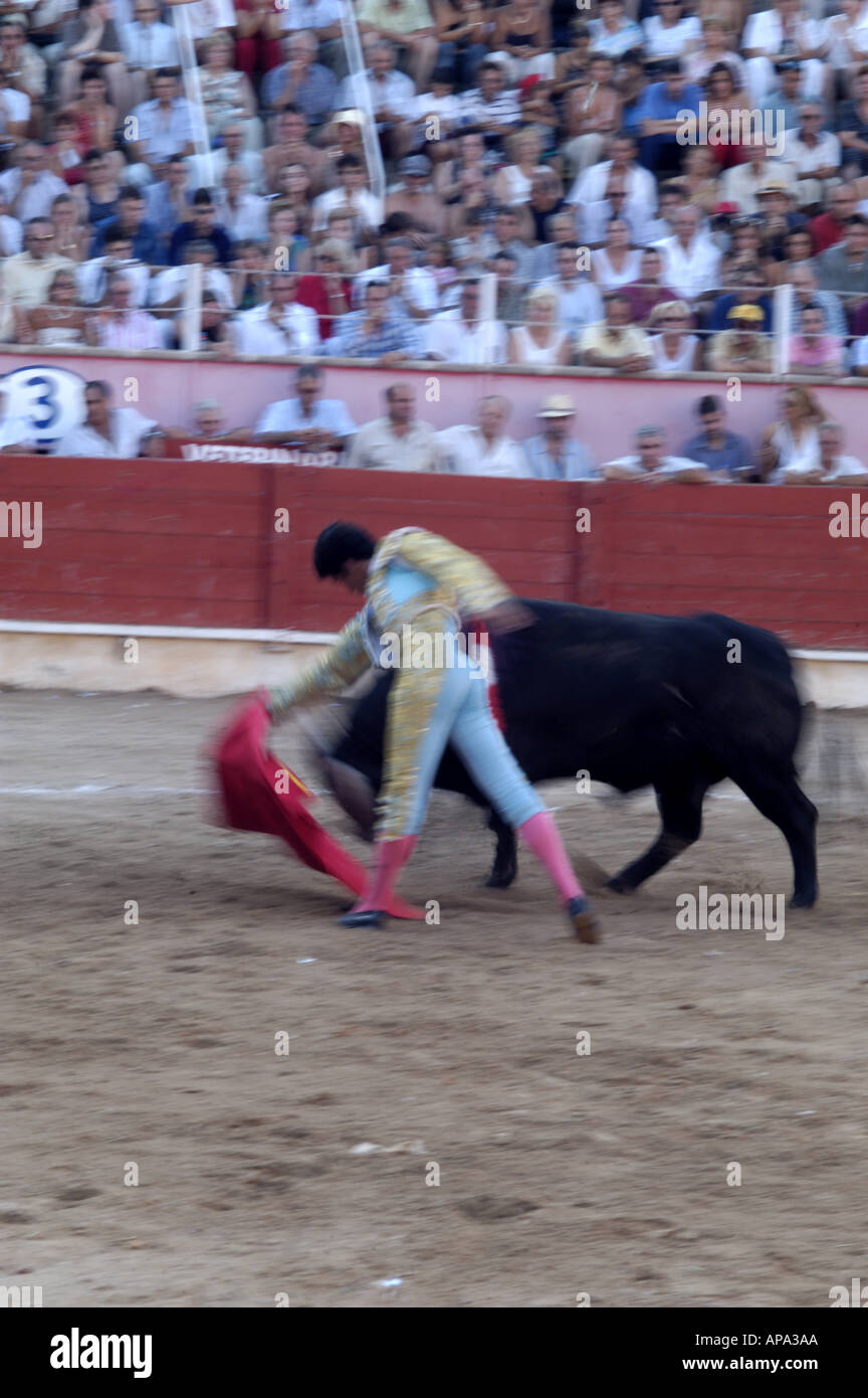 Einem spanischen Stierkampf in Mallorca, Spanien. Stockfoto