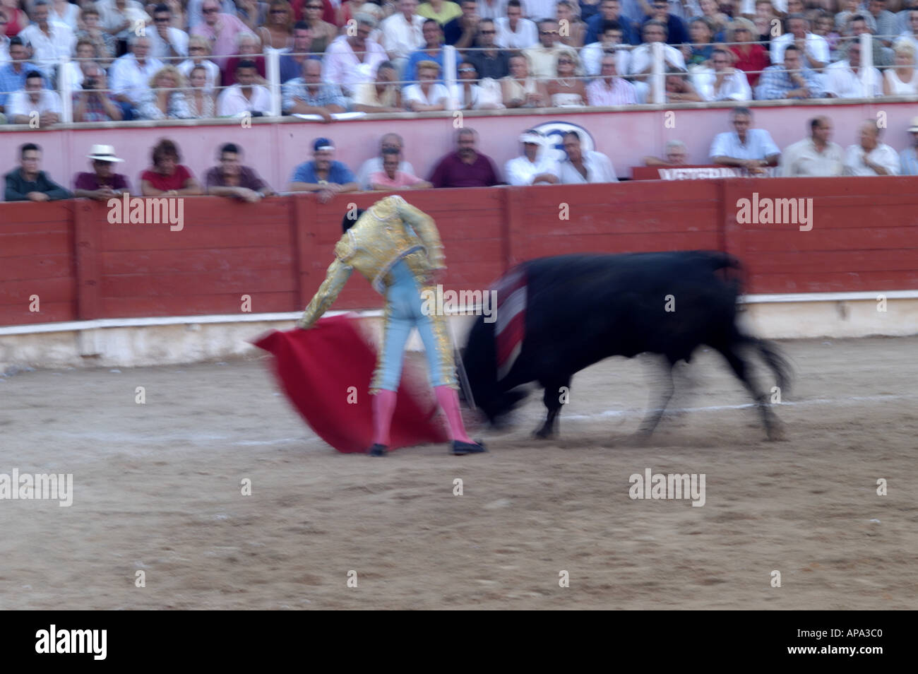 Einem spanischen Stierkampf in Mallorca, Spanien. Stockfoto