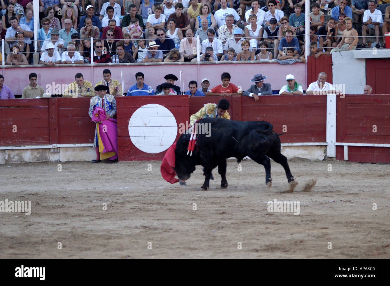 Einem spanischen Stierkampf in Mallorca, Spanien. Stockfoto