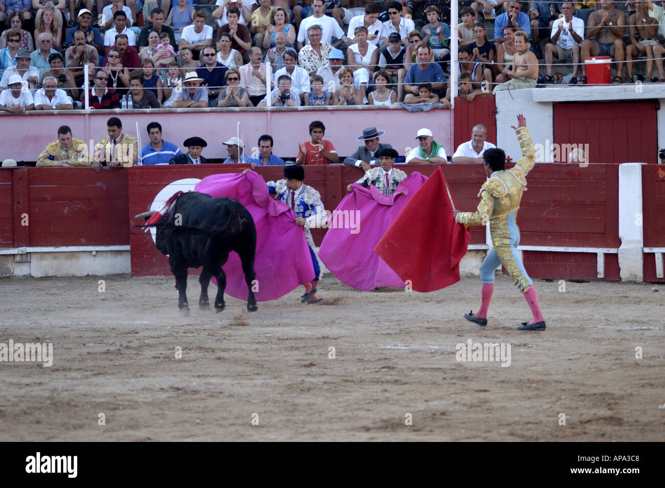 Einem spanischen Stierkampf in Mallorca, Spanien. Stockfoto