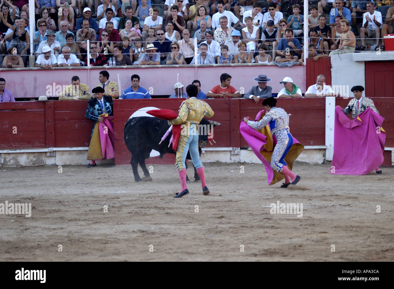 Einem spanischen Stierkampf in Mallorca, Spanien. Stockfoto