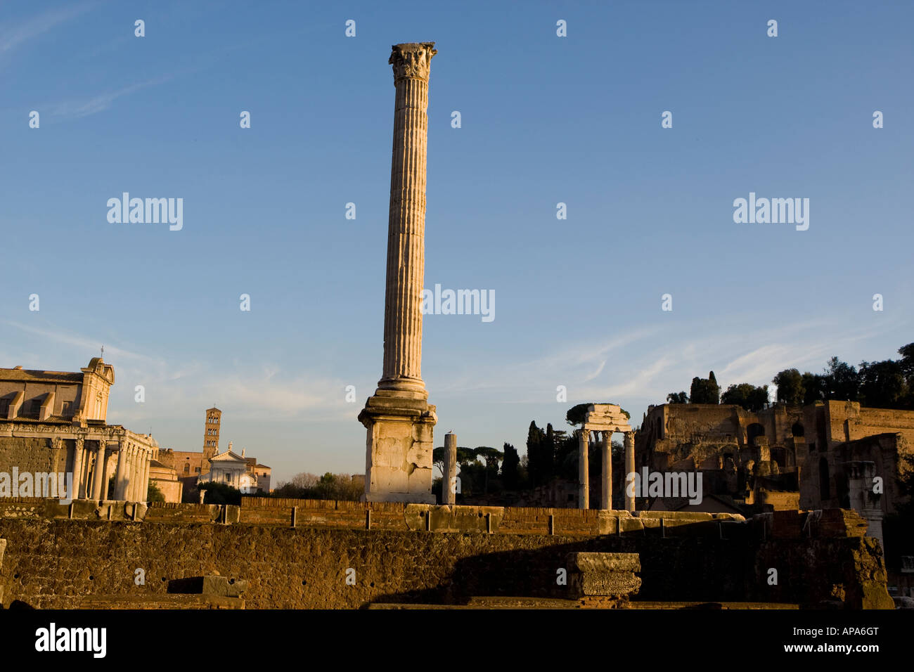 Spalte errichtet zu Ehren des Byzeantine Kaiser Phokas, 608AD, das Forum Romanum, Rom Italien während des Sonnenuntergangs, 30. November 2007 Stockfoto