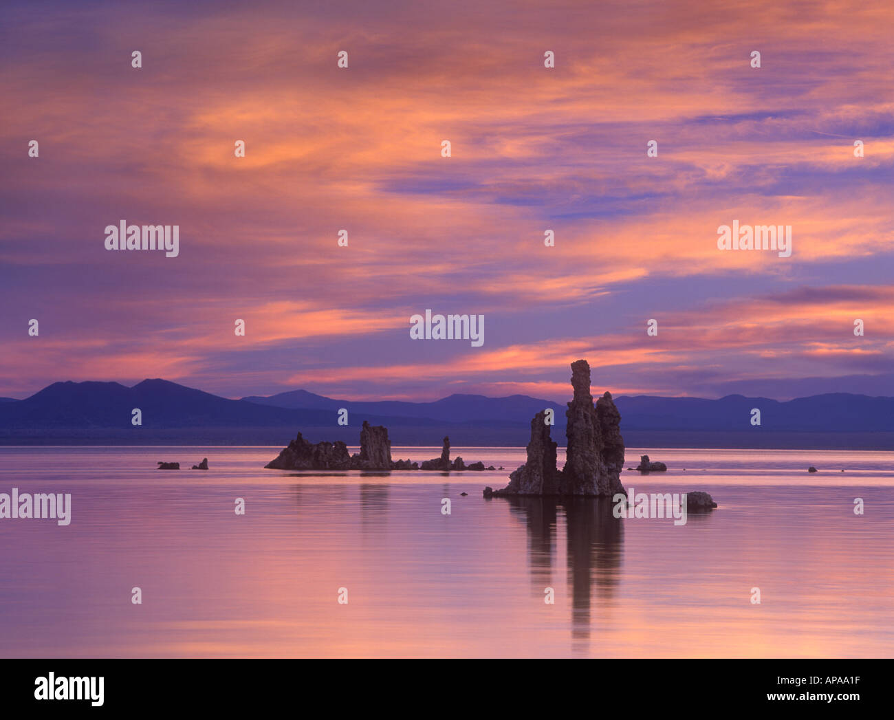 Feurige Morgendämmerung über Tuffstein Türme in Mono Lake Kalifornien Stockfoto