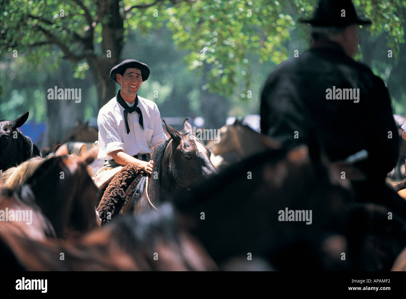 Gauchos-Argentinien-Südamerika Stockfoto