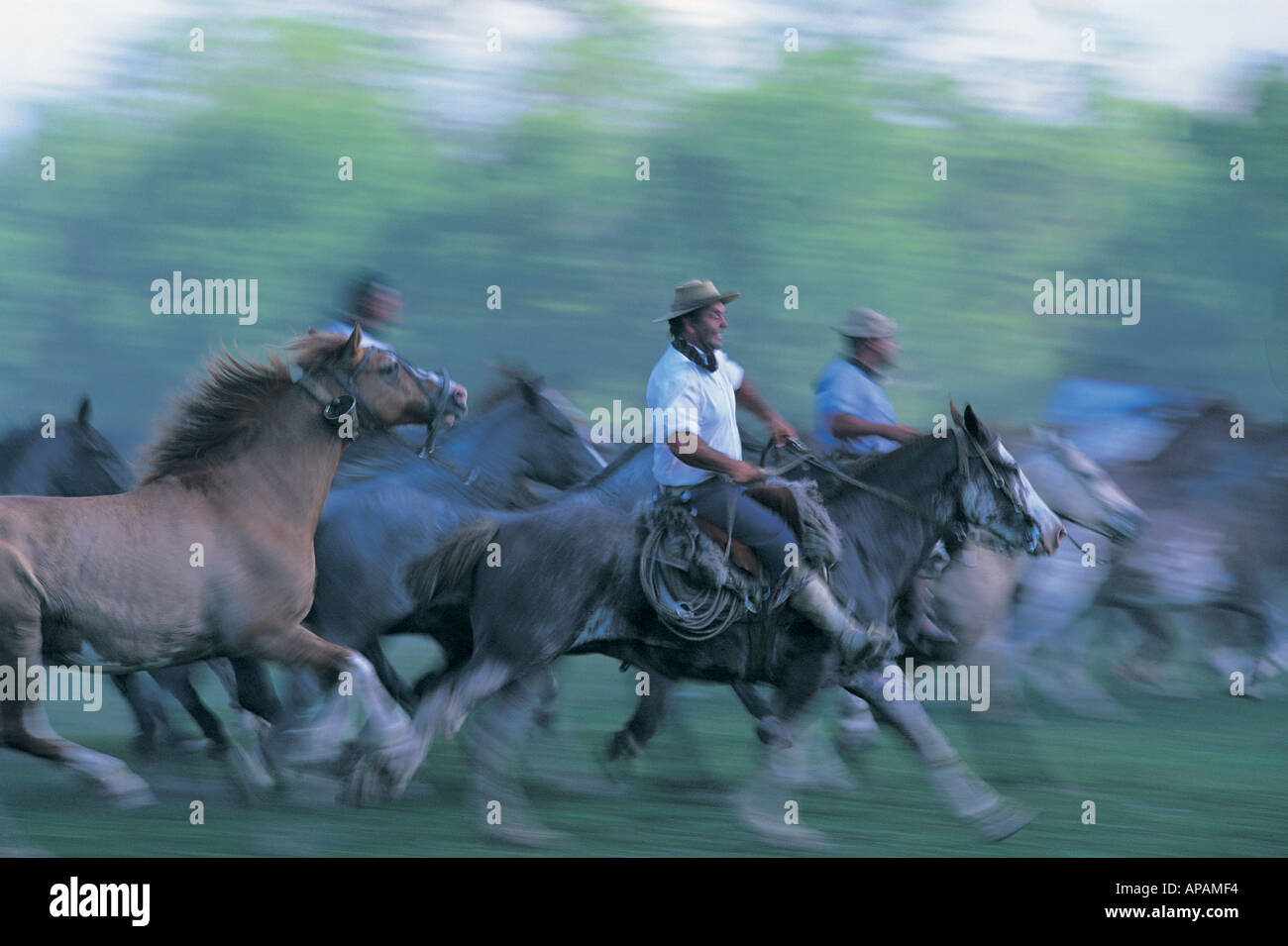 Gauchos auf dem Pferderücken Gaucho Festival San Antonio de Areco Argentinien Südamerika Stockfoto